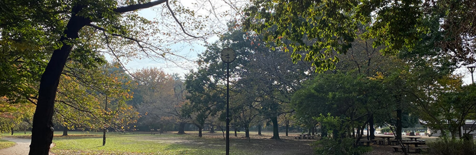 井之頭恩賜公園